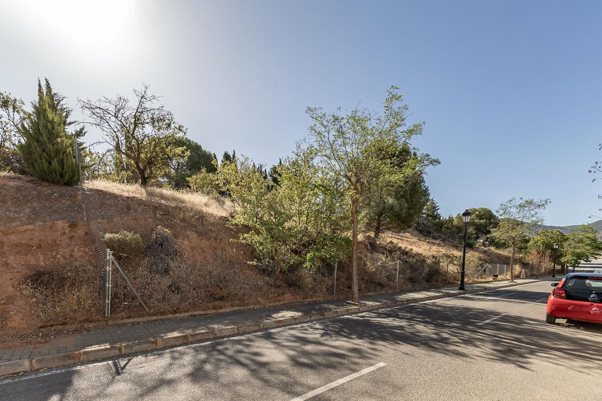 PARCELA 610 M2 EN CORTIJO DE LA LUZ, OTURA.