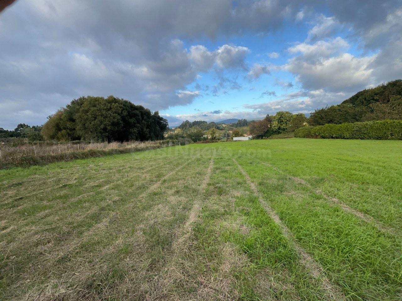Excepcional en aldea do Souto, Sada: Oportunidad de Inversió - foto 4
