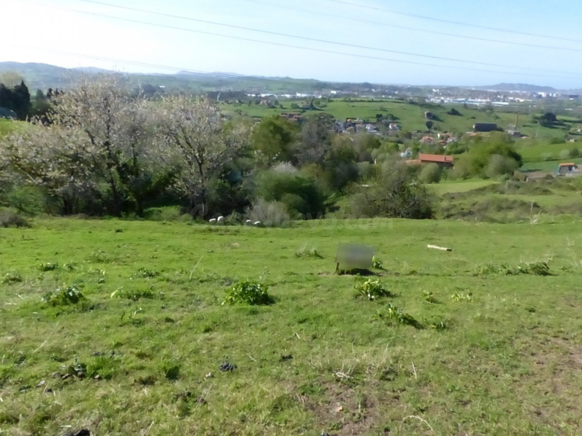 TERRENO EN LIAÑO - foto 2