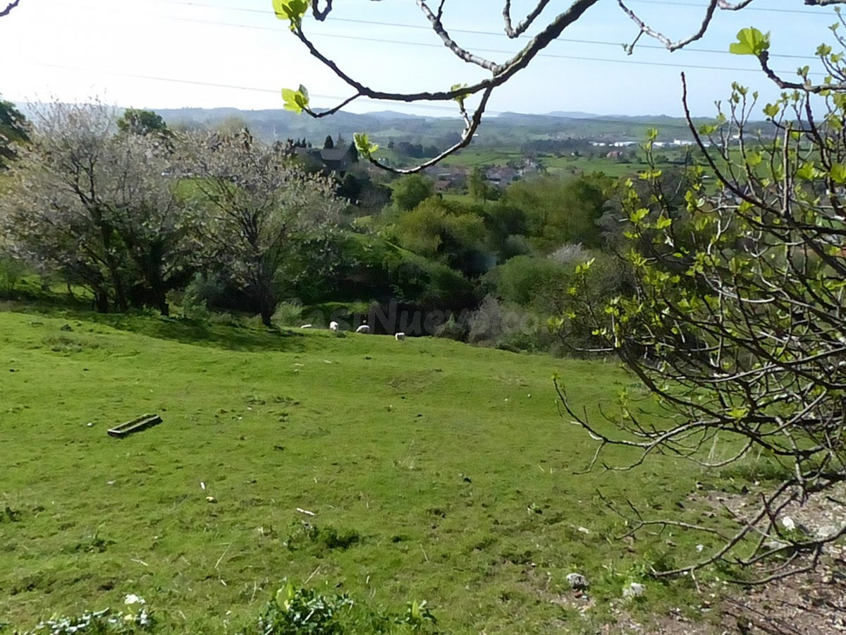 TERRENO EN LIAÑO - foto 4