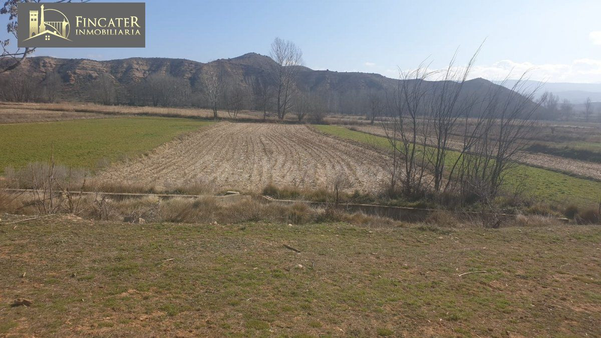 TERRENO RÚSTICO DE REGADÍO