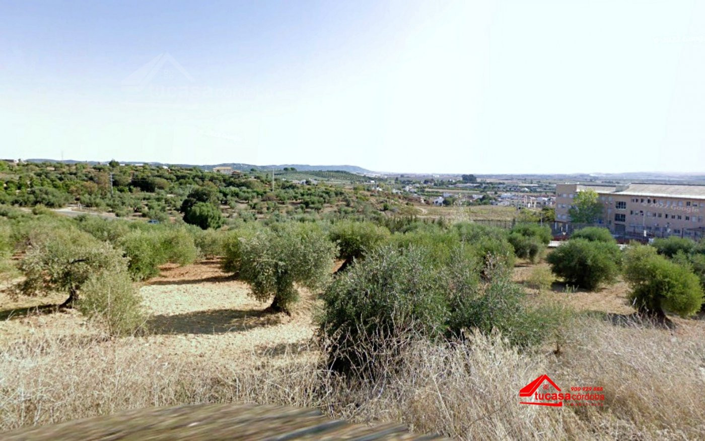 CASA DE NUEVA CONSTRUCCIÓN EN VENTA EN ALMODOVAR - foto 4