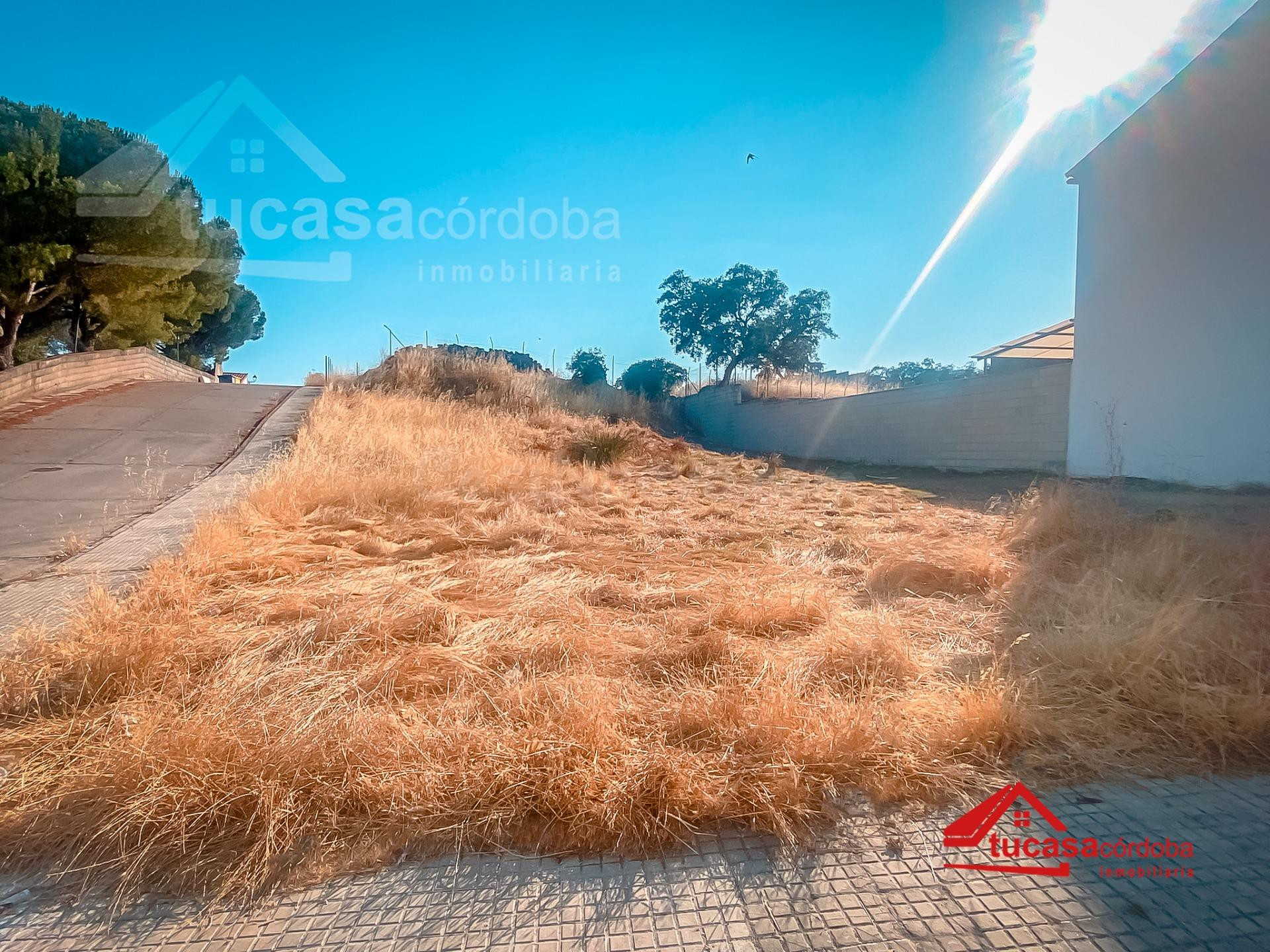 Parcelas urbanas en venta en Cardeña, Córdoba – Flexibilidad - foto 2