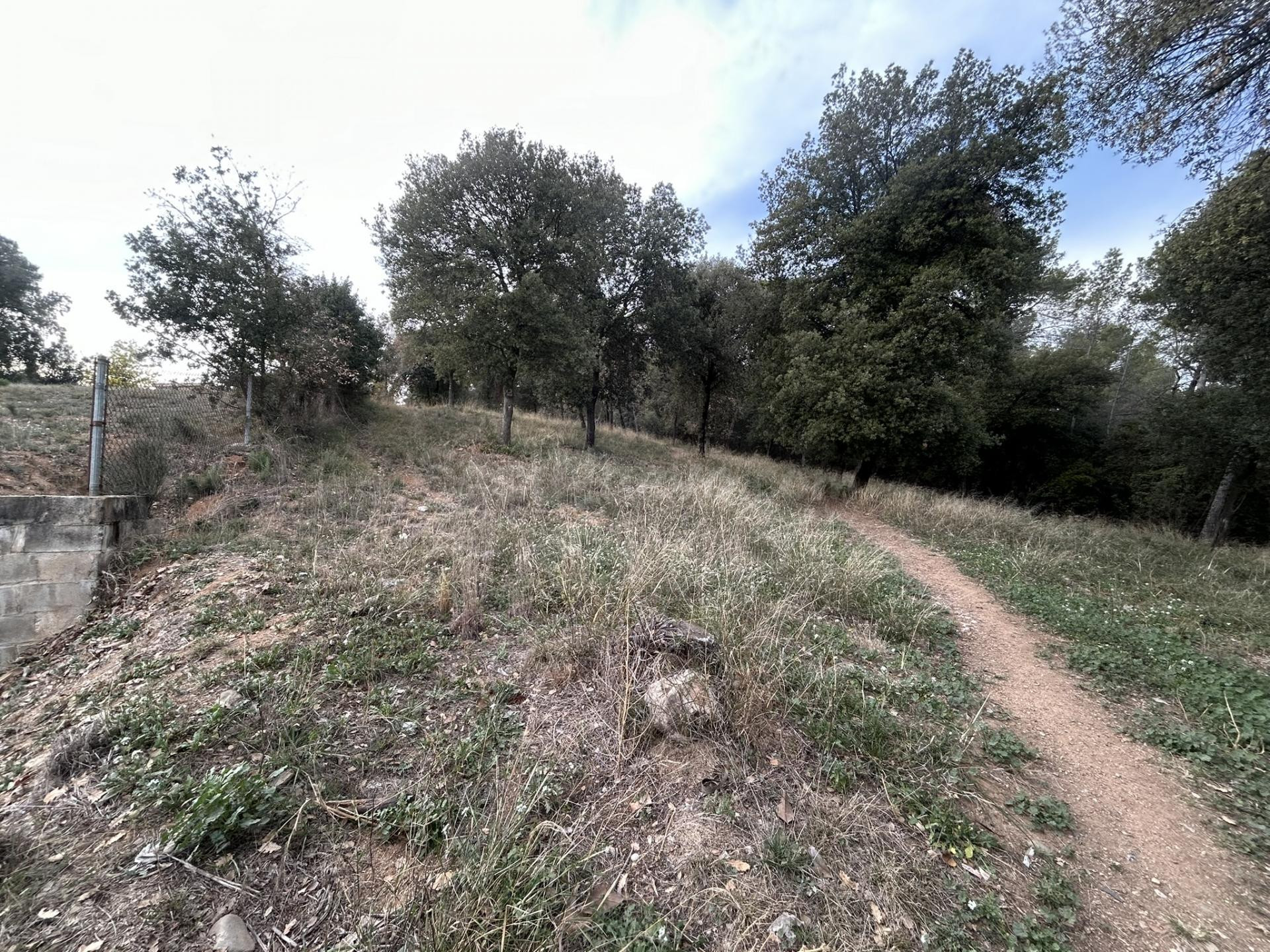 Terreno rústico en venta en Camino de la Serra, Cànoves i Sa - foto 3