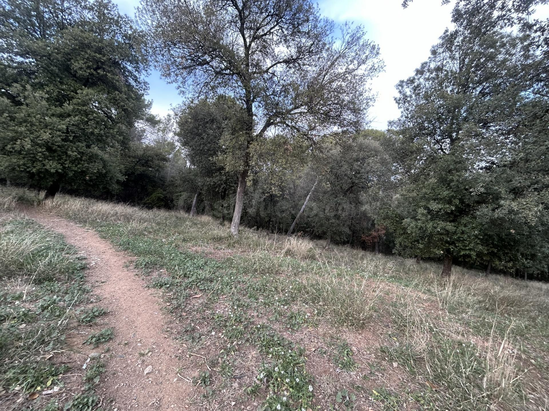 Terreno rústico en venta en Camino de la Serra, Cànoves i Sa - foto 4