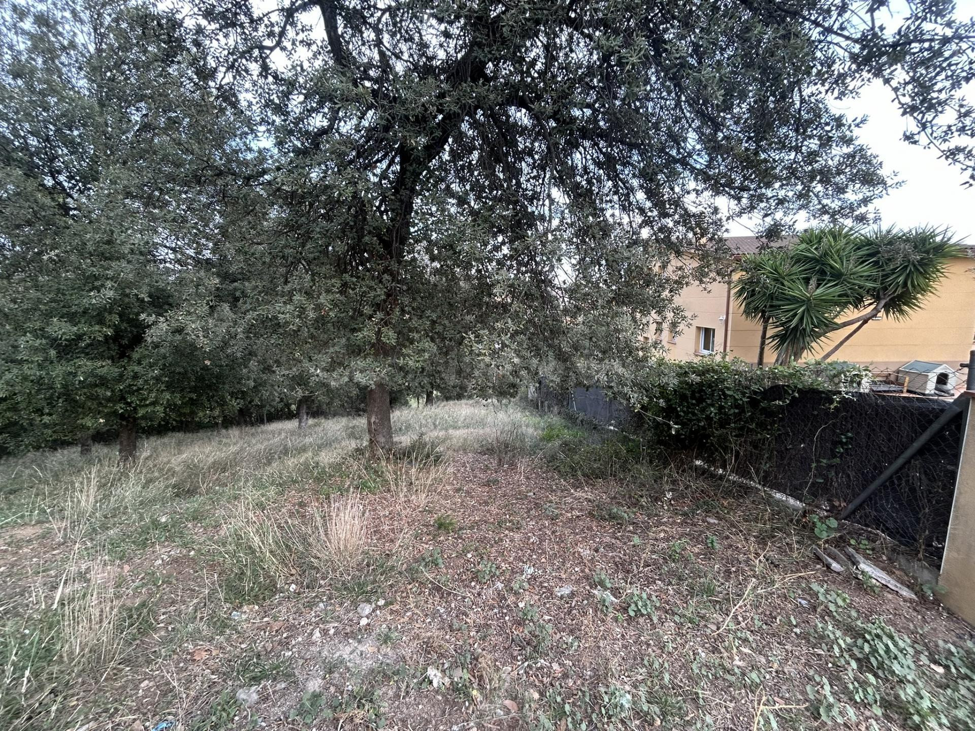 Terreno rústico en venta en Camino de la Serra, Cànoves i Sa - foto 5