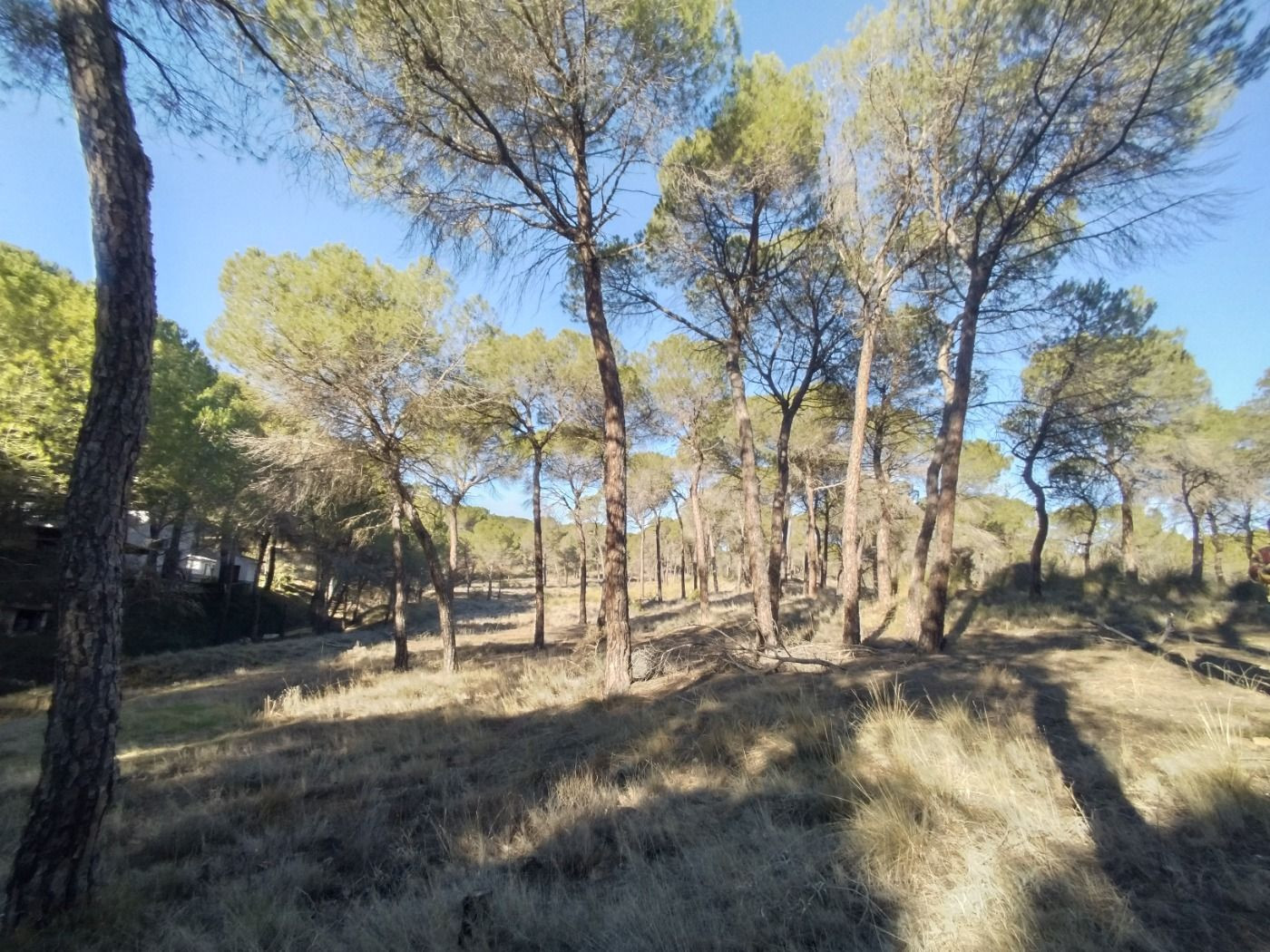 Terreno