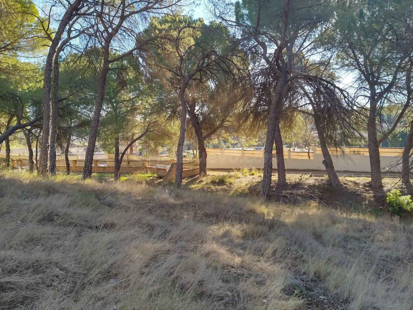 Terreno - foto 2