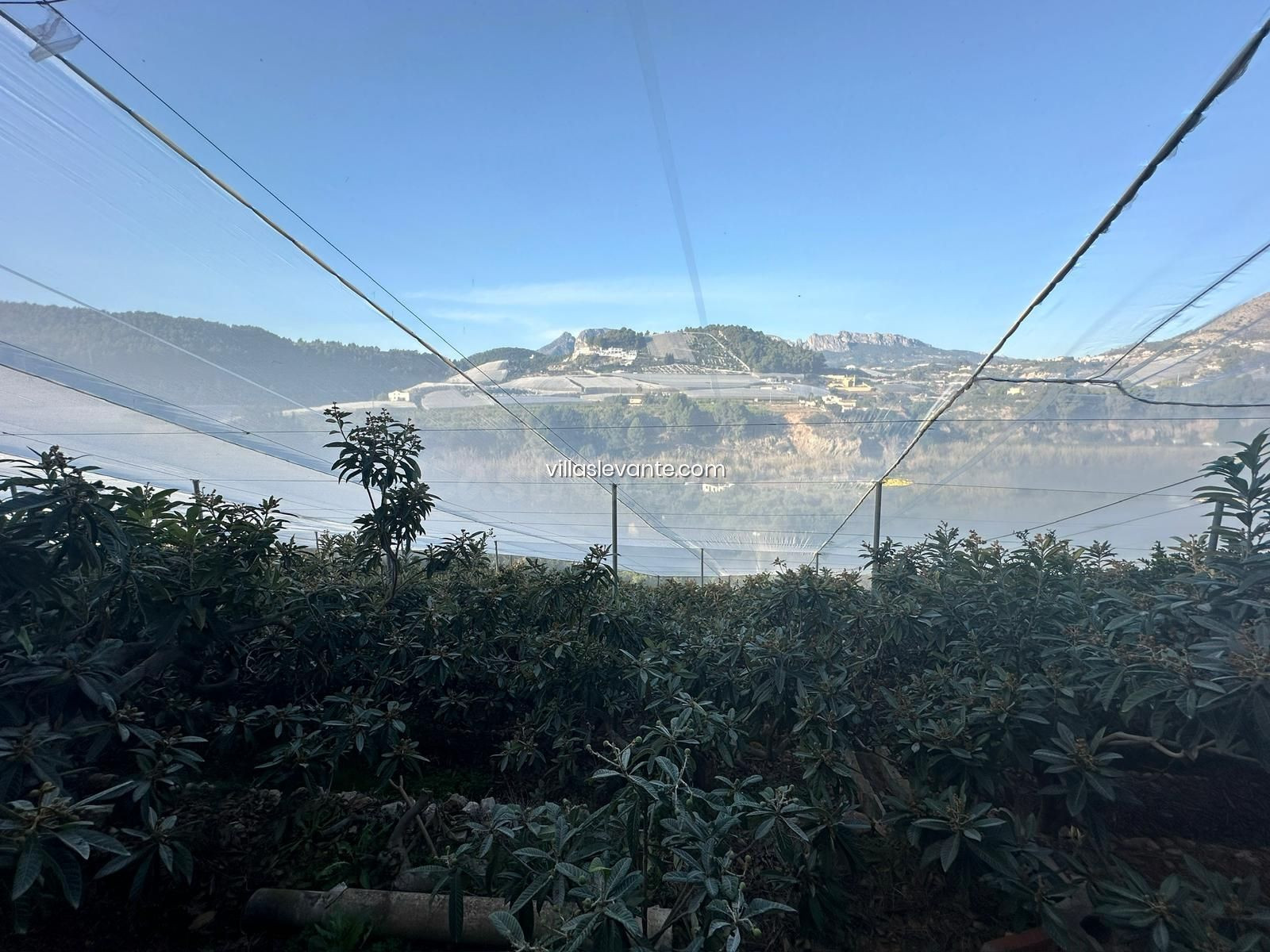 FINCA RUSTICA EN PLENA EXPLOTACION