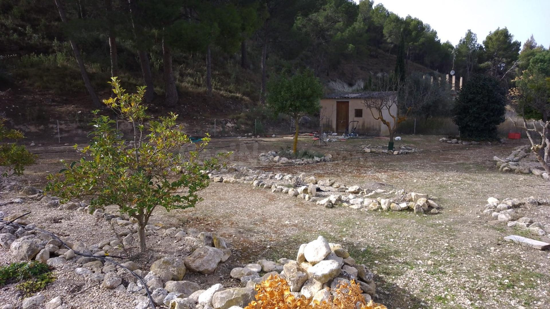 PRECIOSO CHALET EN MUY BUENA ZONA DE PETRER - foto 4
