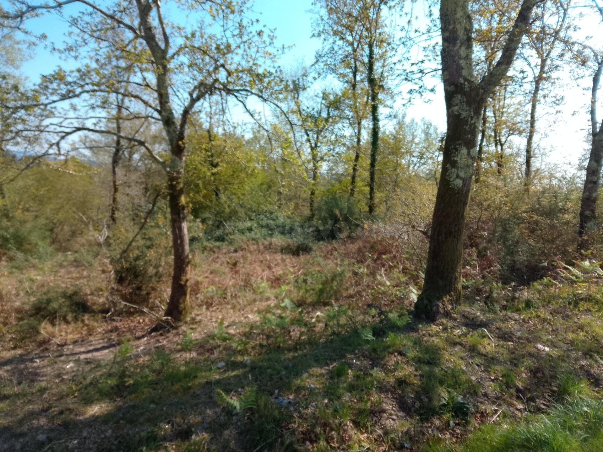 SE VENDE TERRENO EDIFICABLE EN BRANS DE ABAIXO (BRIÓN) - foto 2