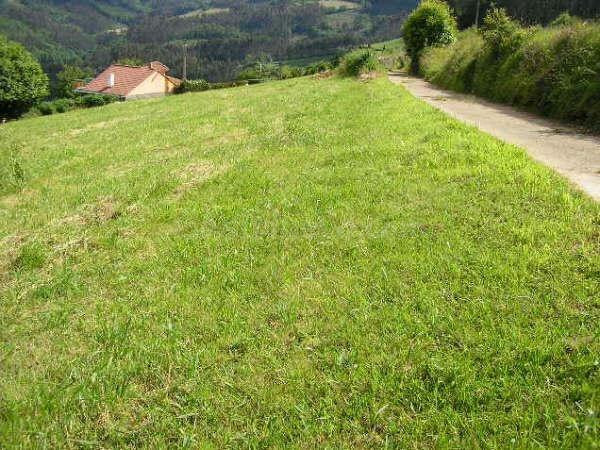 Proyecto de vida en Asturias: tres fincas edificables con vi - foto 4