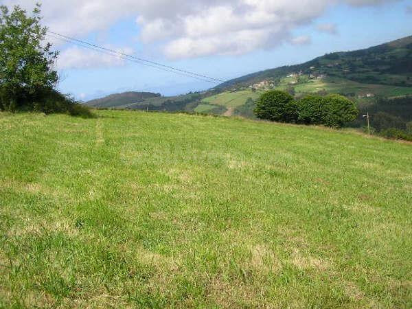 Proyecto de vida en Asturias: tres fincas edificables con vi - foto 5