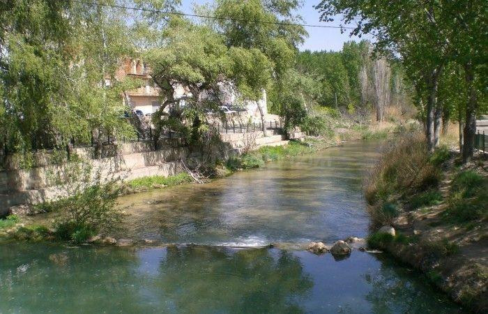 LOTE de Parcelas rústicas en venta en La Recueja, Albacete - foto 2