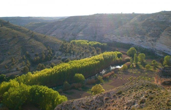 LOTE de Parcelas rústicas en venta en La Recueja, Albacete - foto 3