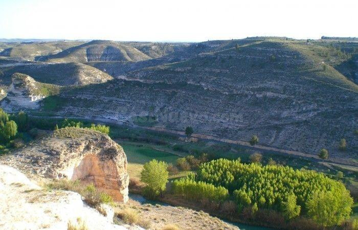 LOTE de Parcelas rústicas en venta en La Recueja, Albacete - foto 4