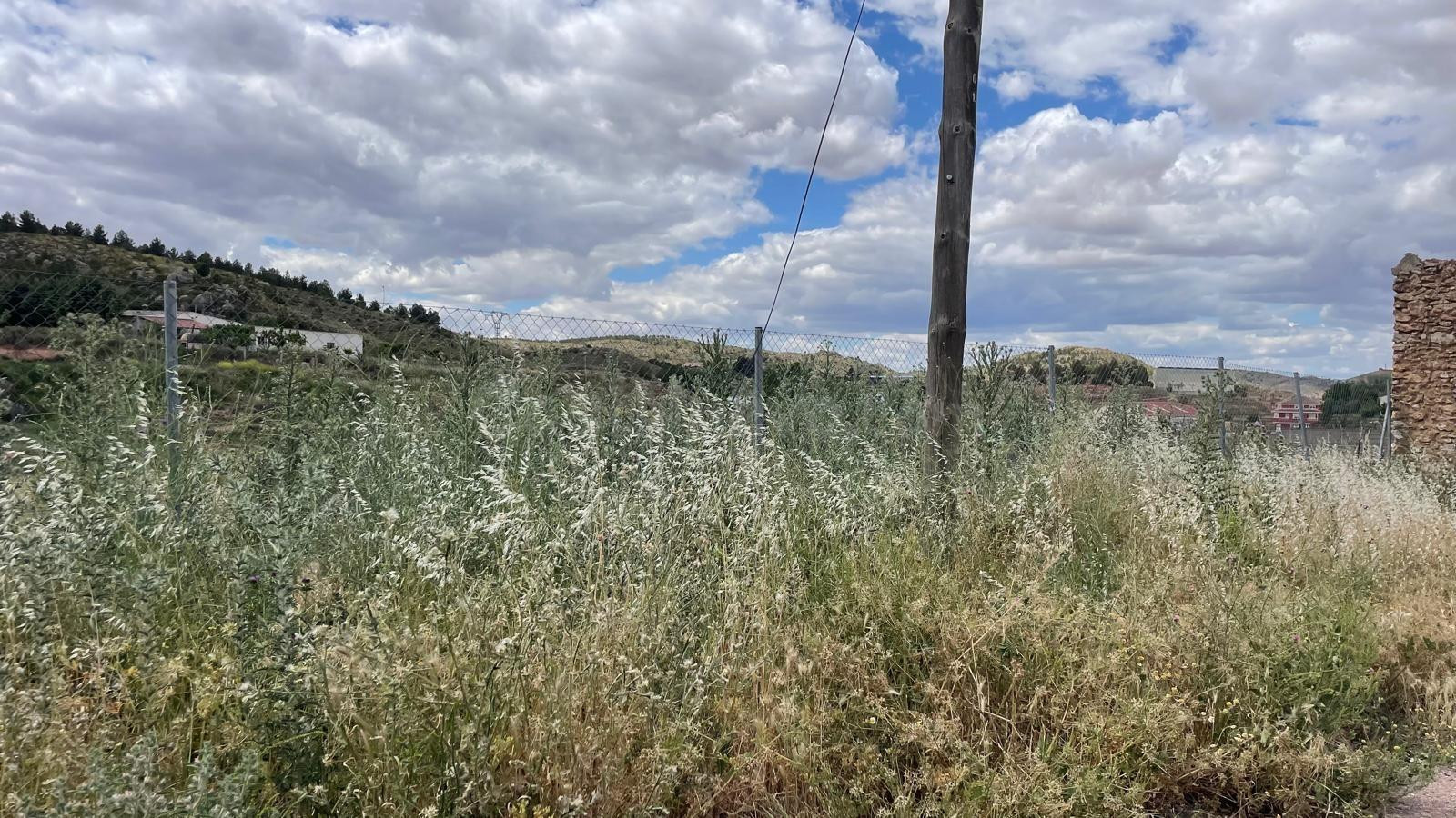 Terreno Urbano en venta en Fuentealbilla, Albacete - foto 4