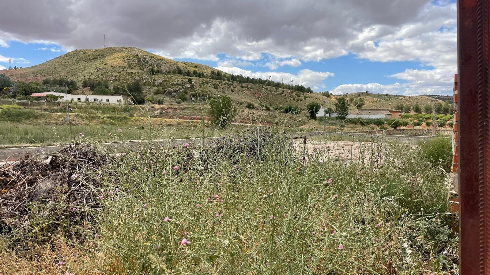 Terreno Urbano en venta en Fuentealbilla, Albacete - foto 5