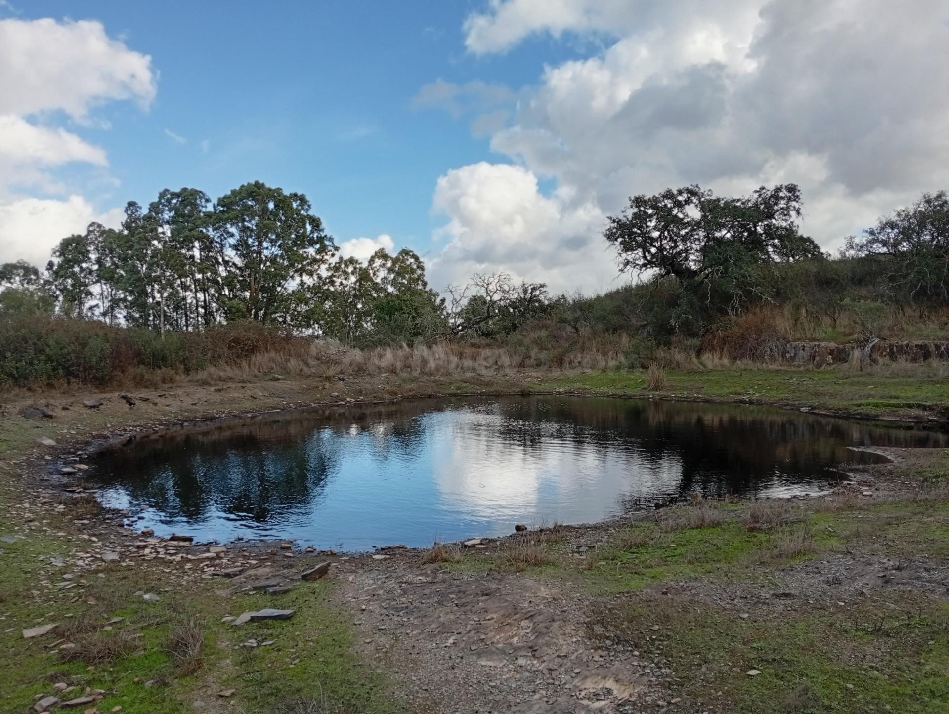 BONITA FINCA EN PUEBLA DE GUZMÁN (HUELVA) - foto 5