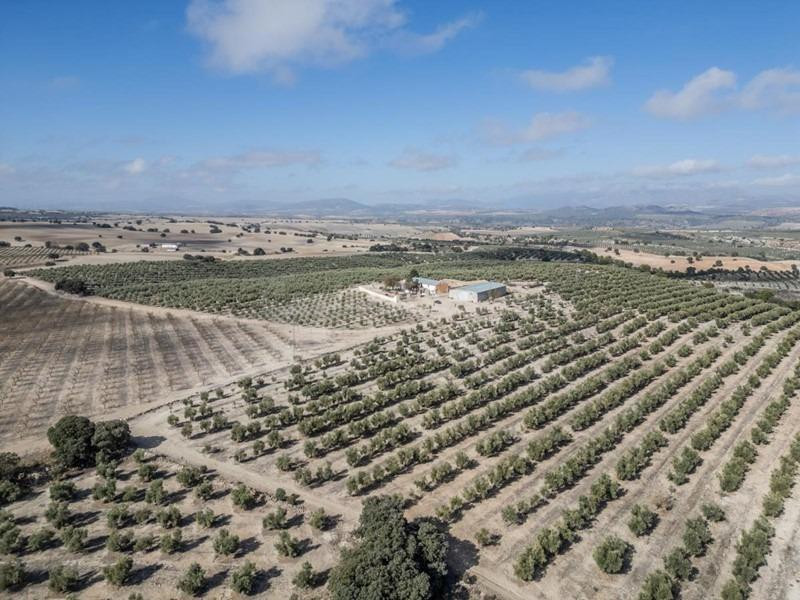 IMPRESIONANTE OPORTUNIDAD DE INVERSIÓN EN ALAMEDILLA!! - foto 4