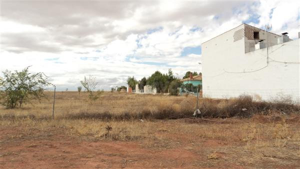 AMPLIA PARCELA JUNTO A LA LAGUNA DE VILLAFRANCA, SUPERFICIE 