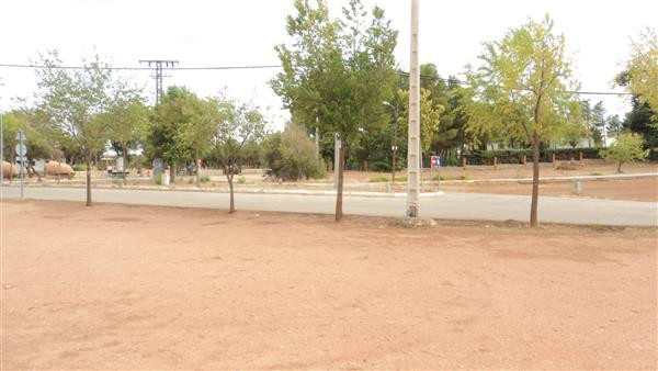 AMPLIA PARCELA JUNTO A LA LAGUNA DE VILLAFRANCA, SUPERFICIE  - foto 5
