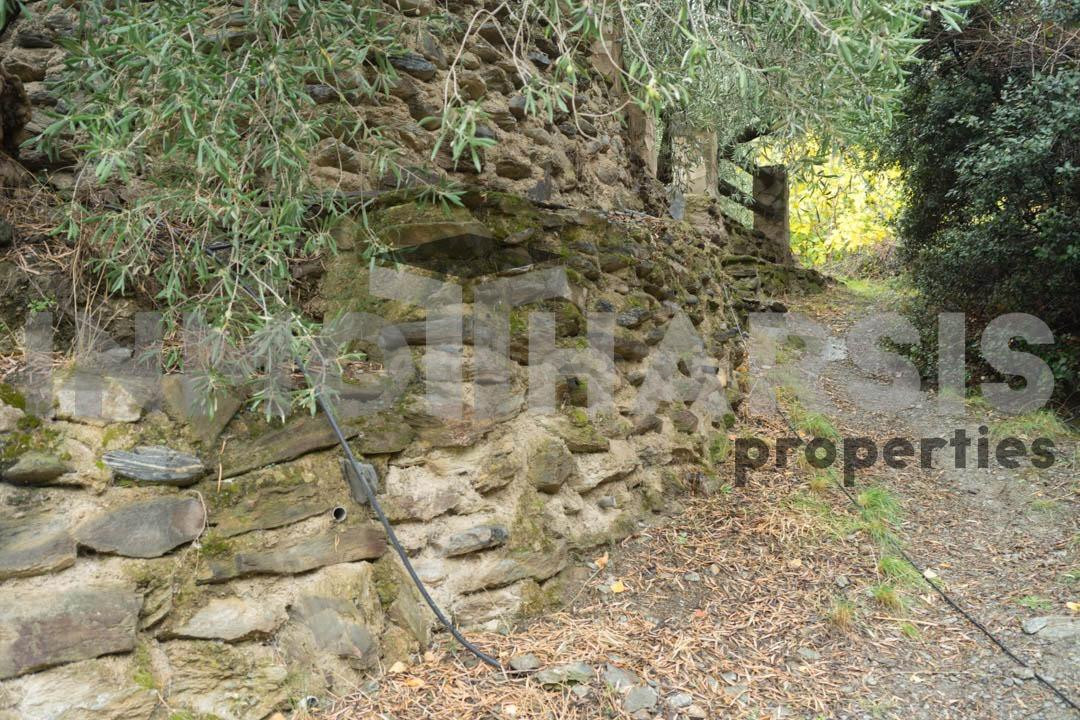 PARAJE LOS MONJOS EL LAERO - foto 5