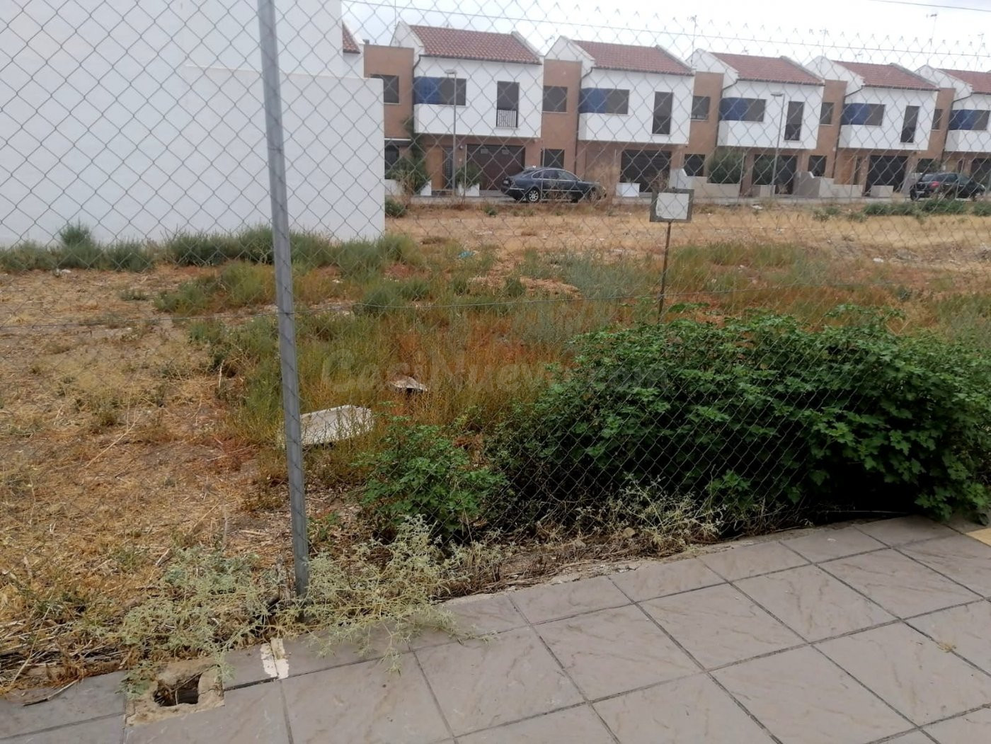 MAGNIFICO SOLAR EN EL CARPIO! - foto 2