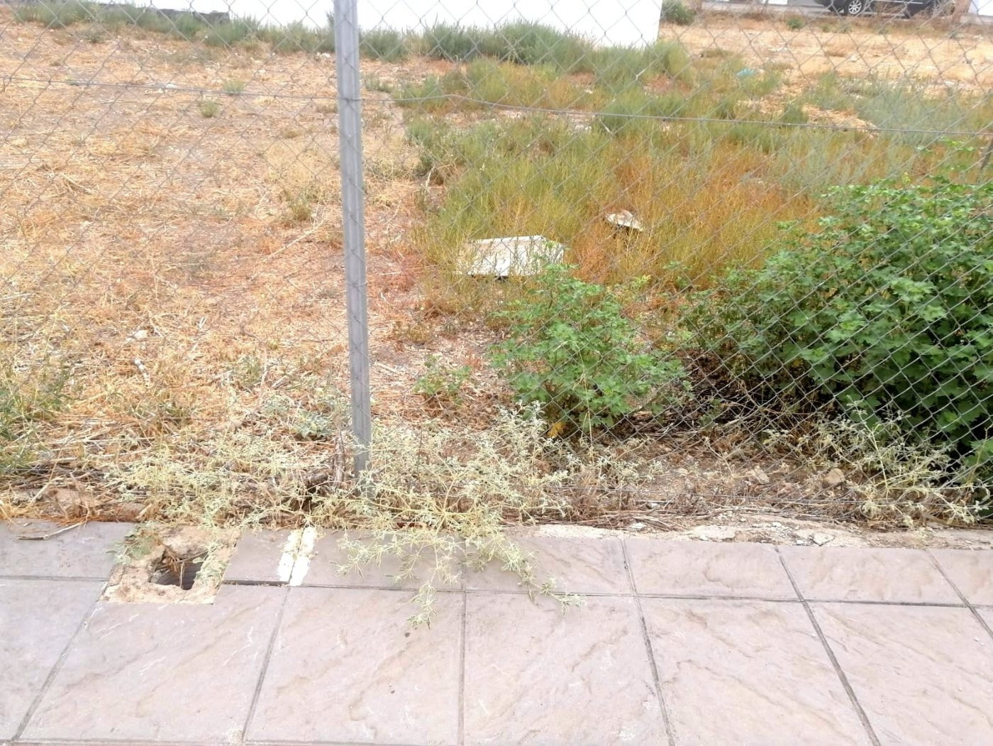 MAGNIFICO SOLAR EN EL CARPIO! - foto 3