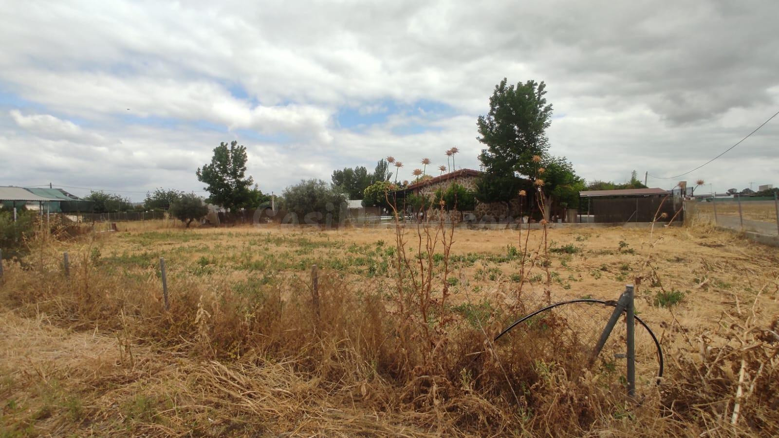 TERRENO EN VENTA EN EL CARPIO - foto 5