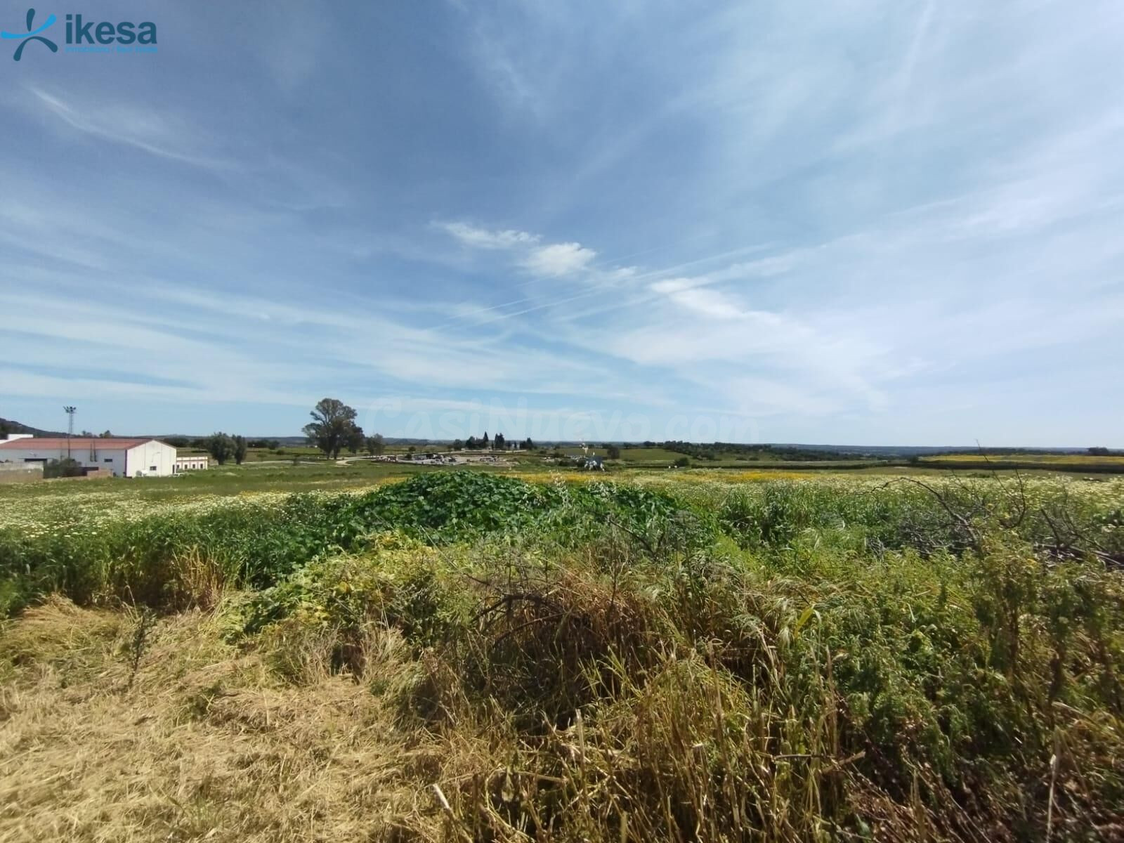 VENTA DE SUELO URBANIZABLE EN ALOSNO, HUELVA. - foto 2