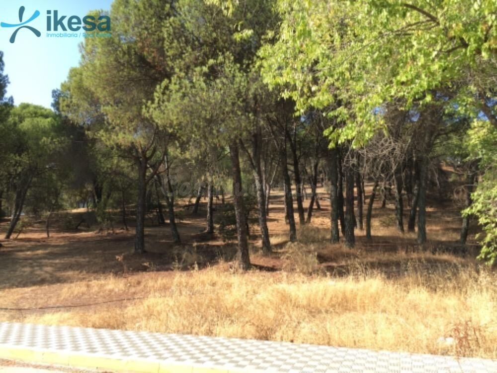 VENTA DE TERRENO URBANO NO CONSOLIDADO EN MINAS DE RIOTINTO, - foto 5