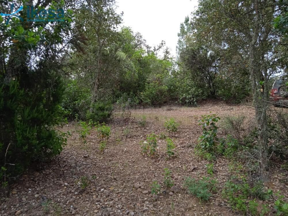 VENTA DE TERRENO RÚSTICO EN VALDELARCO, HUELVA - foto 4