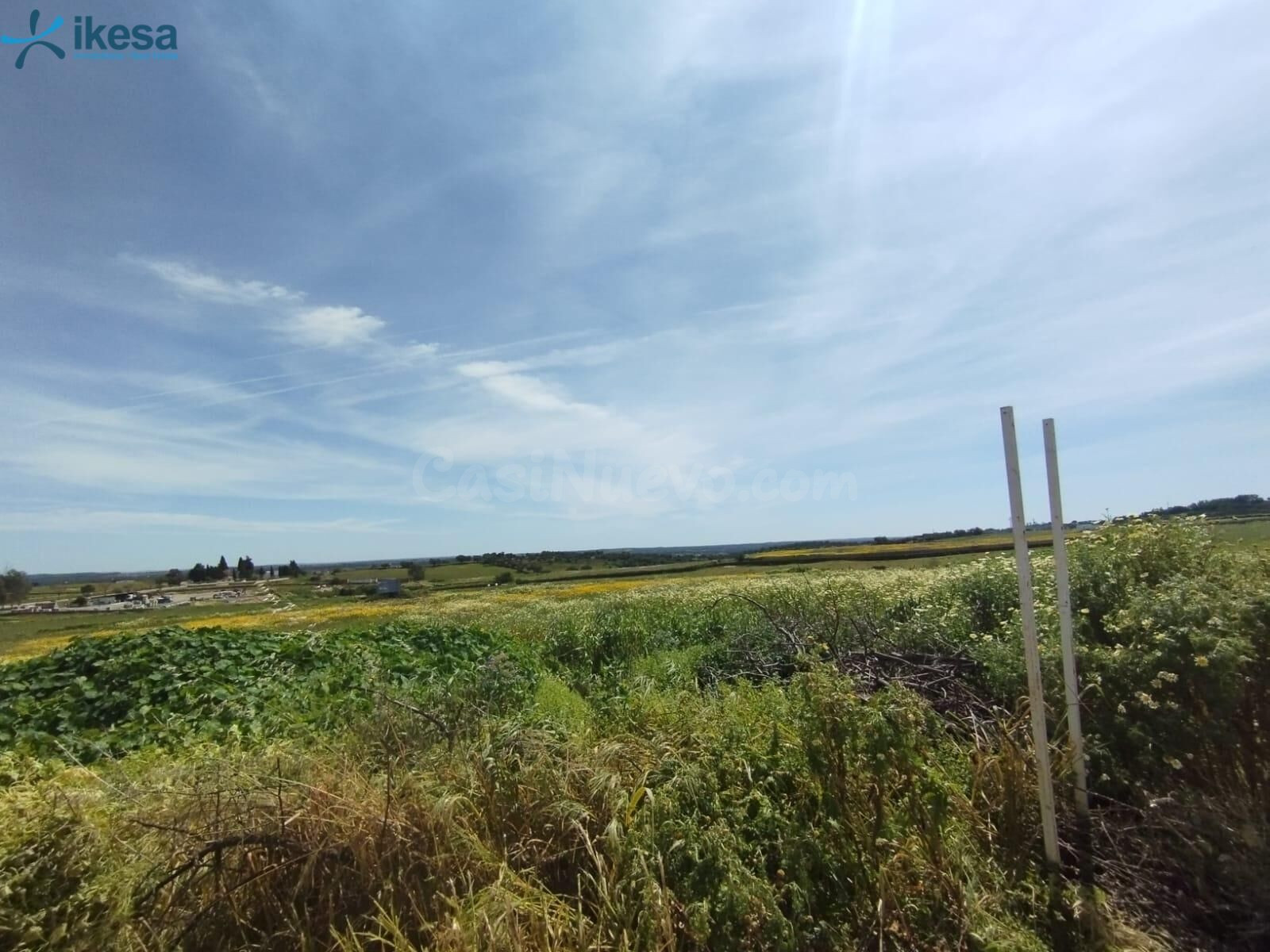 VENTA DE SUELO URBANIZABLE EN ALOSNO, HUELVA. - foto 4