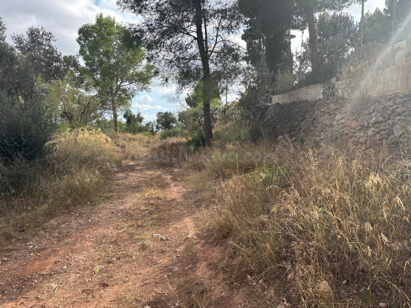 Terreno Urbano en venta Carrer Puig 13, Castellvell del Camp