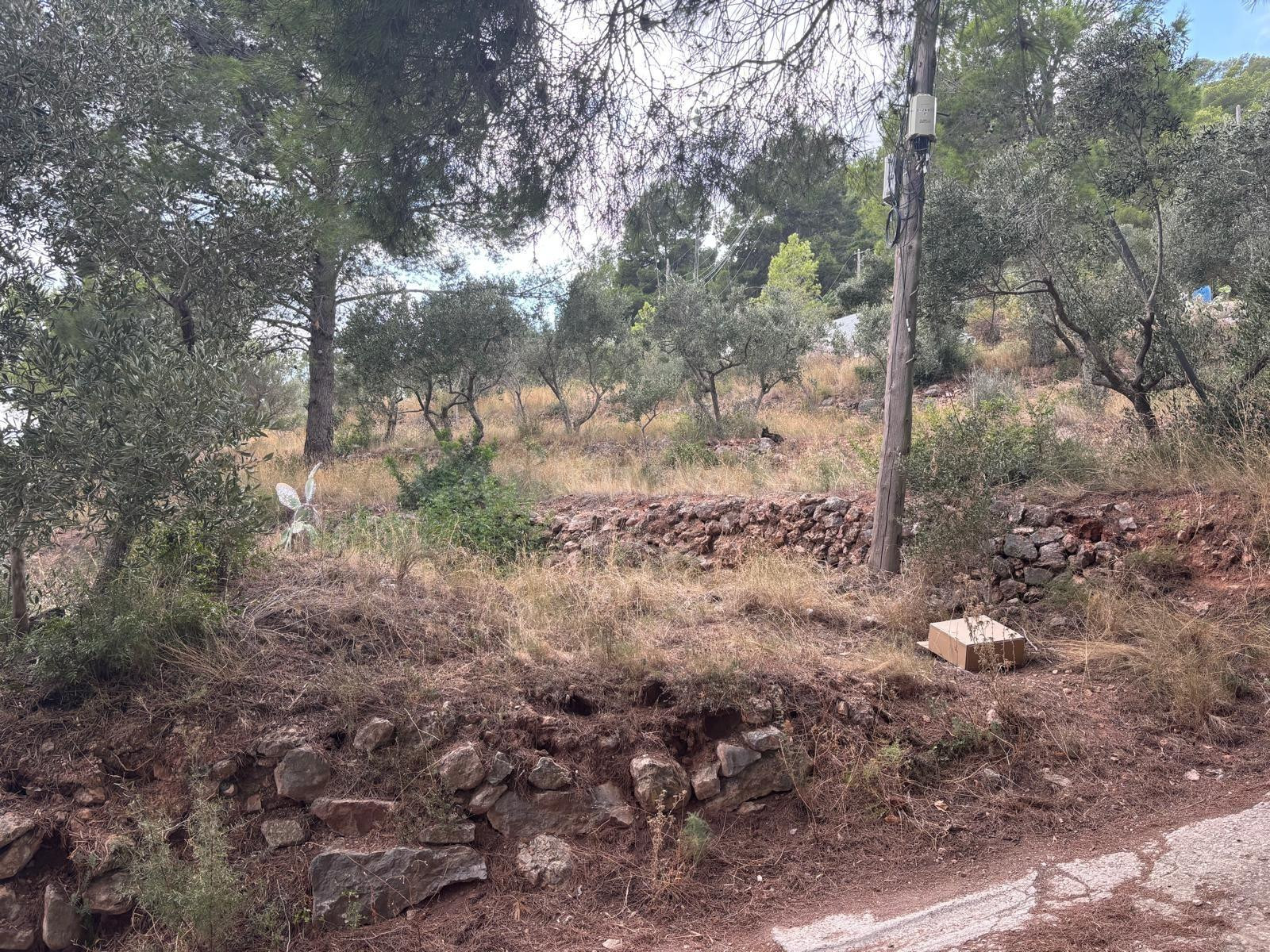 Terreno Urbano en venta Carrer Puig 13, Castellvell del Camp - foto 2