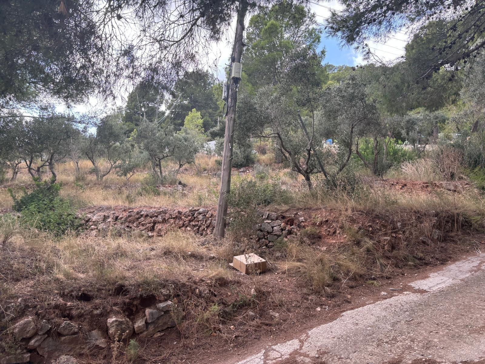 Terreno Urbano en venta Carrer Puig 13, Castellvell del Camp - foto 3