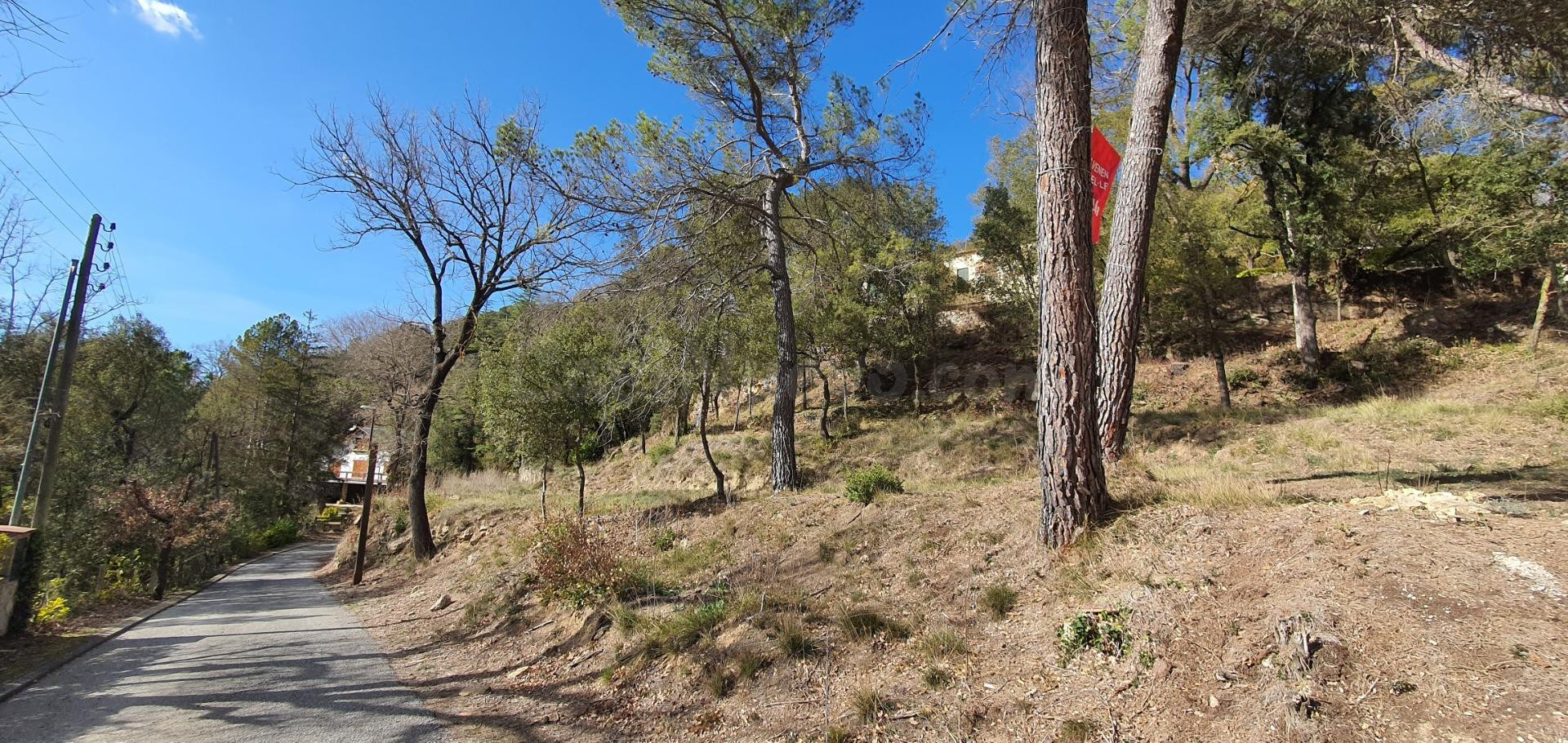 Tres parcelas muy llanas a punto de edificar - foto 2
