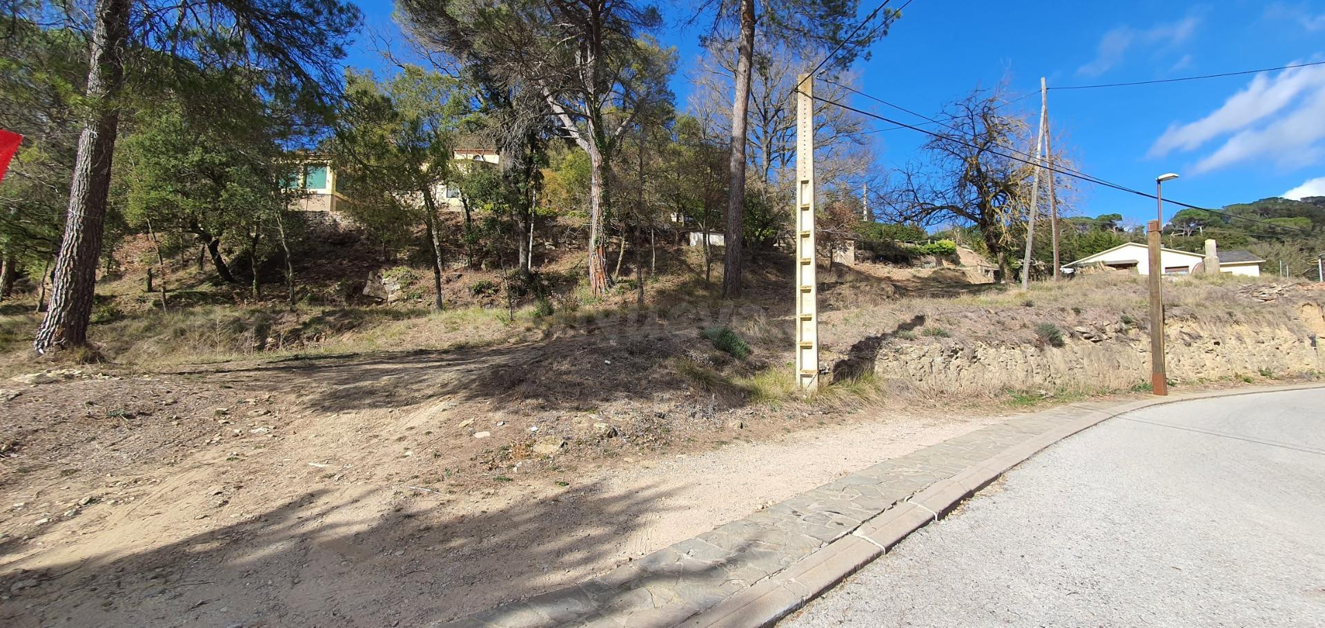 Tres parcelas muy llanas a punto de edificar - foto 3