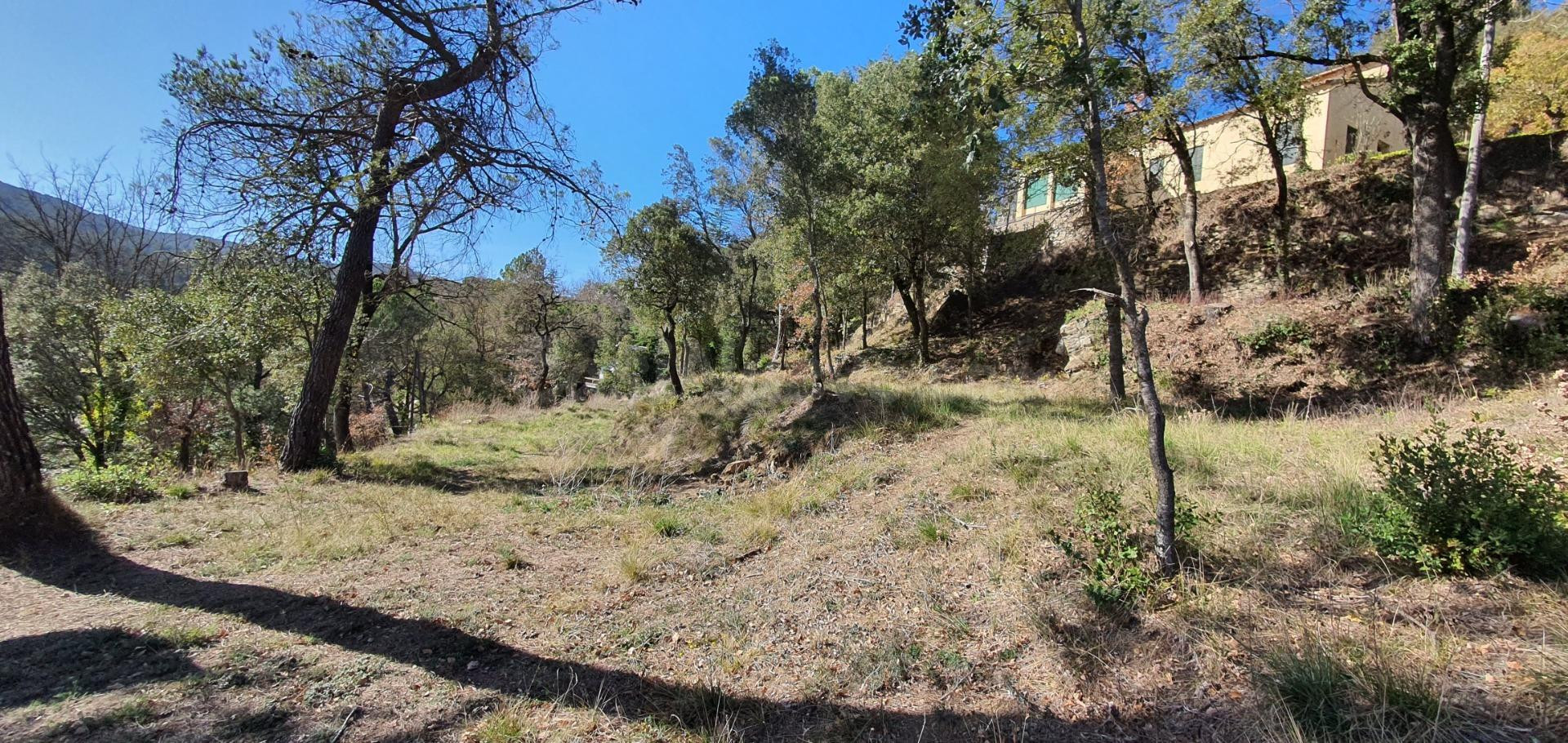 Tres parcelas muy llanas a punto de edificar - foto 5