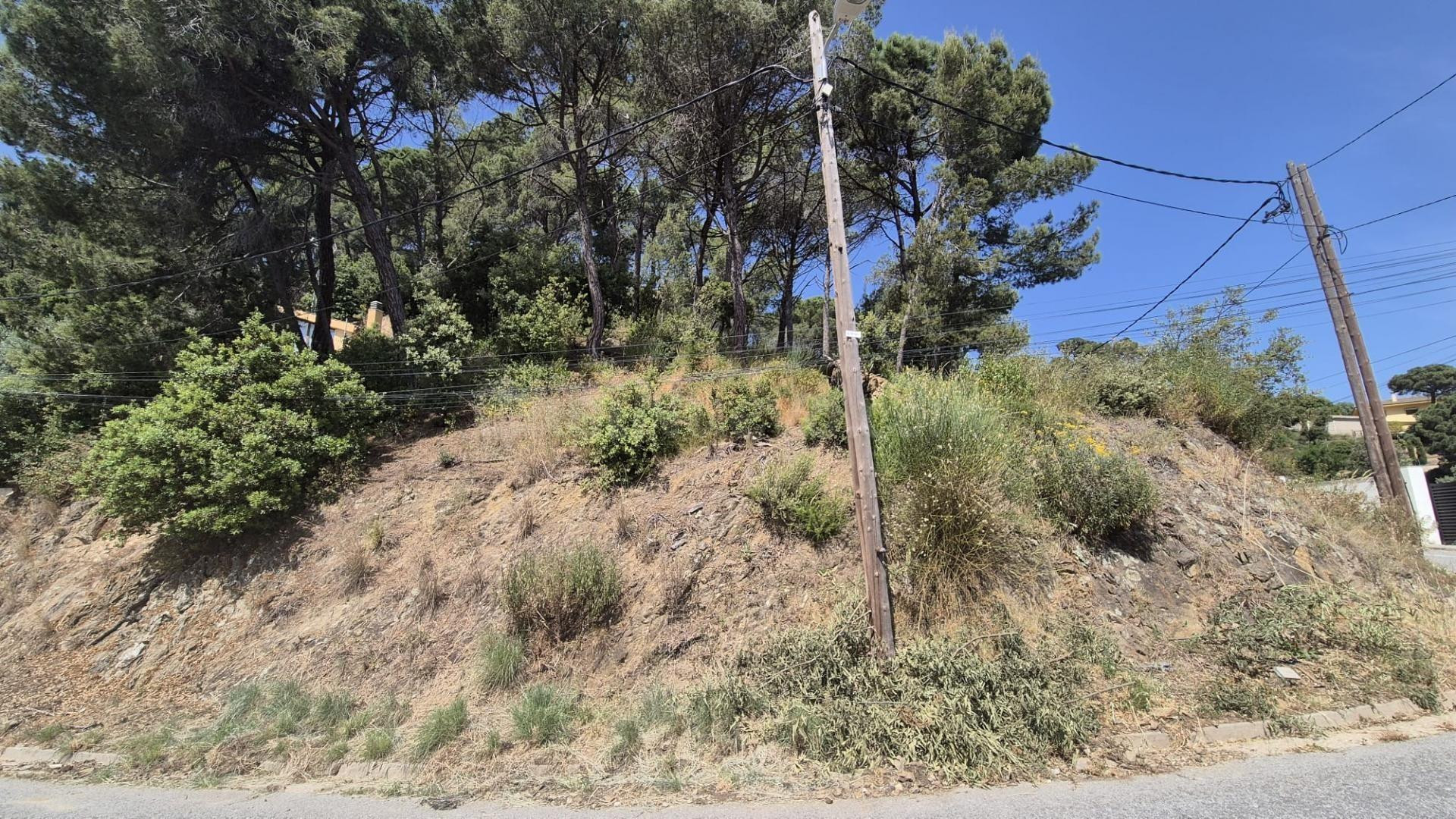 Terreny en venda a Sant Feliu del Racó – Entorn natural i vistes excepcionals - foto 5