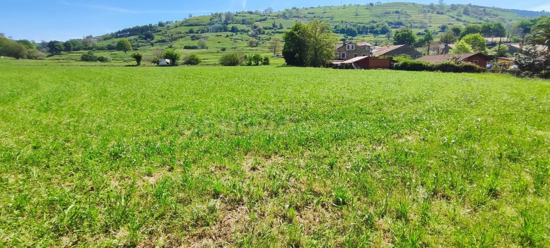 TERRENO DE  6.696 M2. EN LA ZONA DE TORANZO.- - foto 3