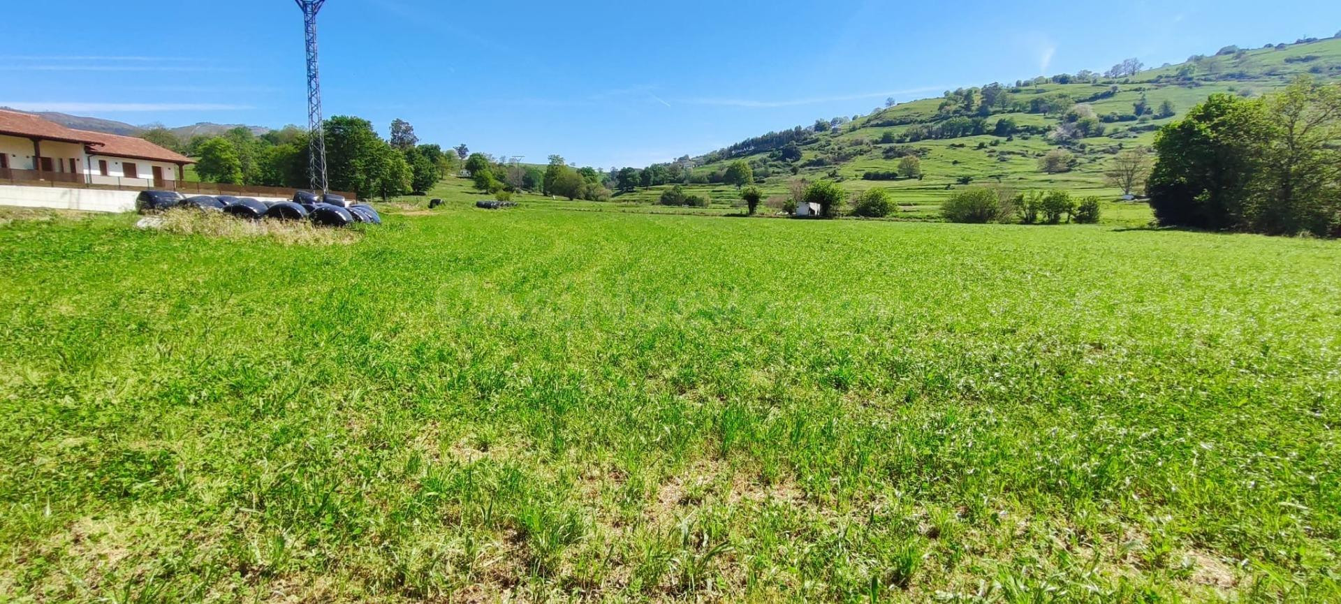 TERRENO DE  6.696 M2. EN LA ZONA DE TORANZO.- - foto 4