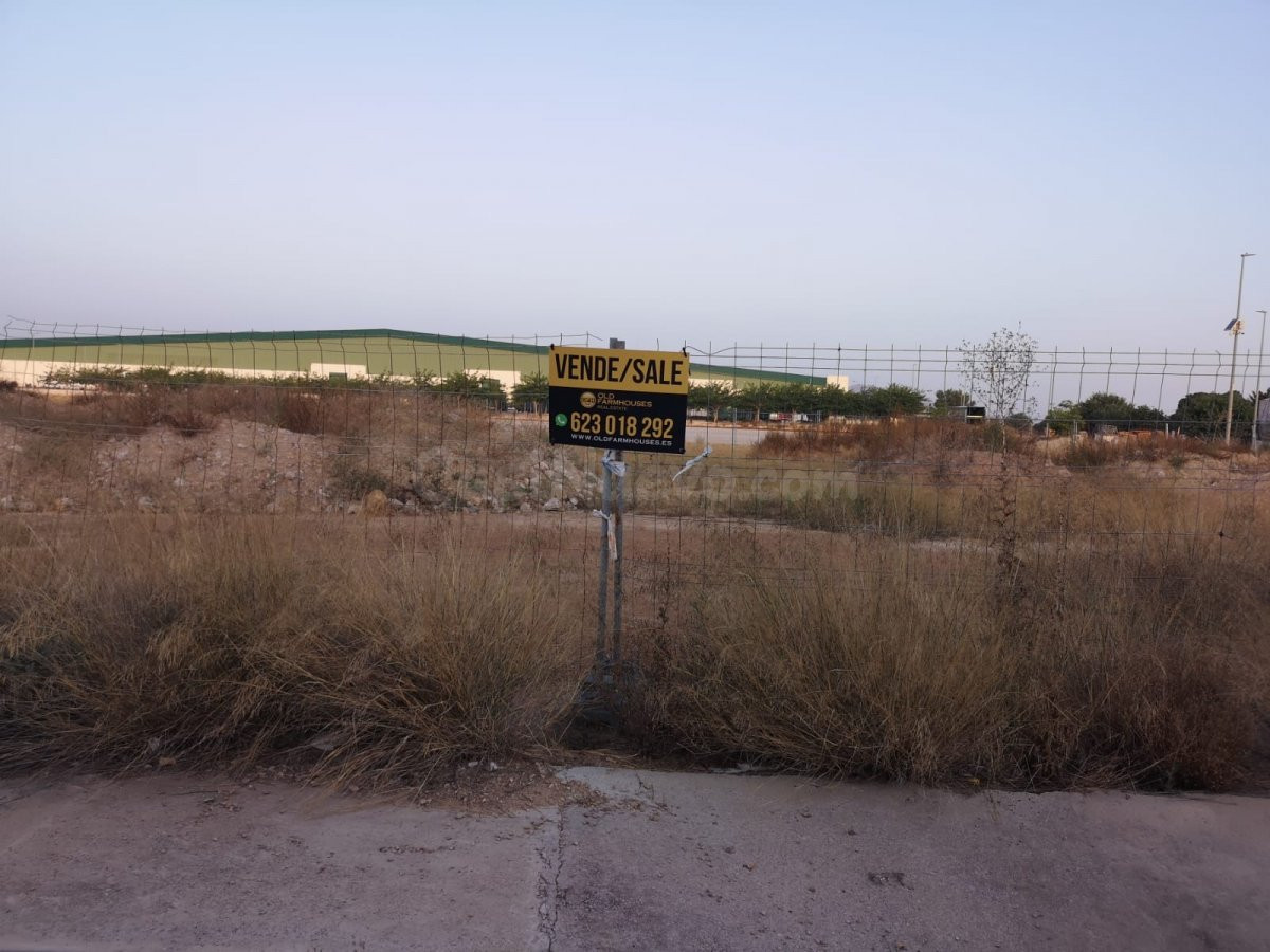 SUELO INDUSTRIAL EN DOLORES DE ALICANTE