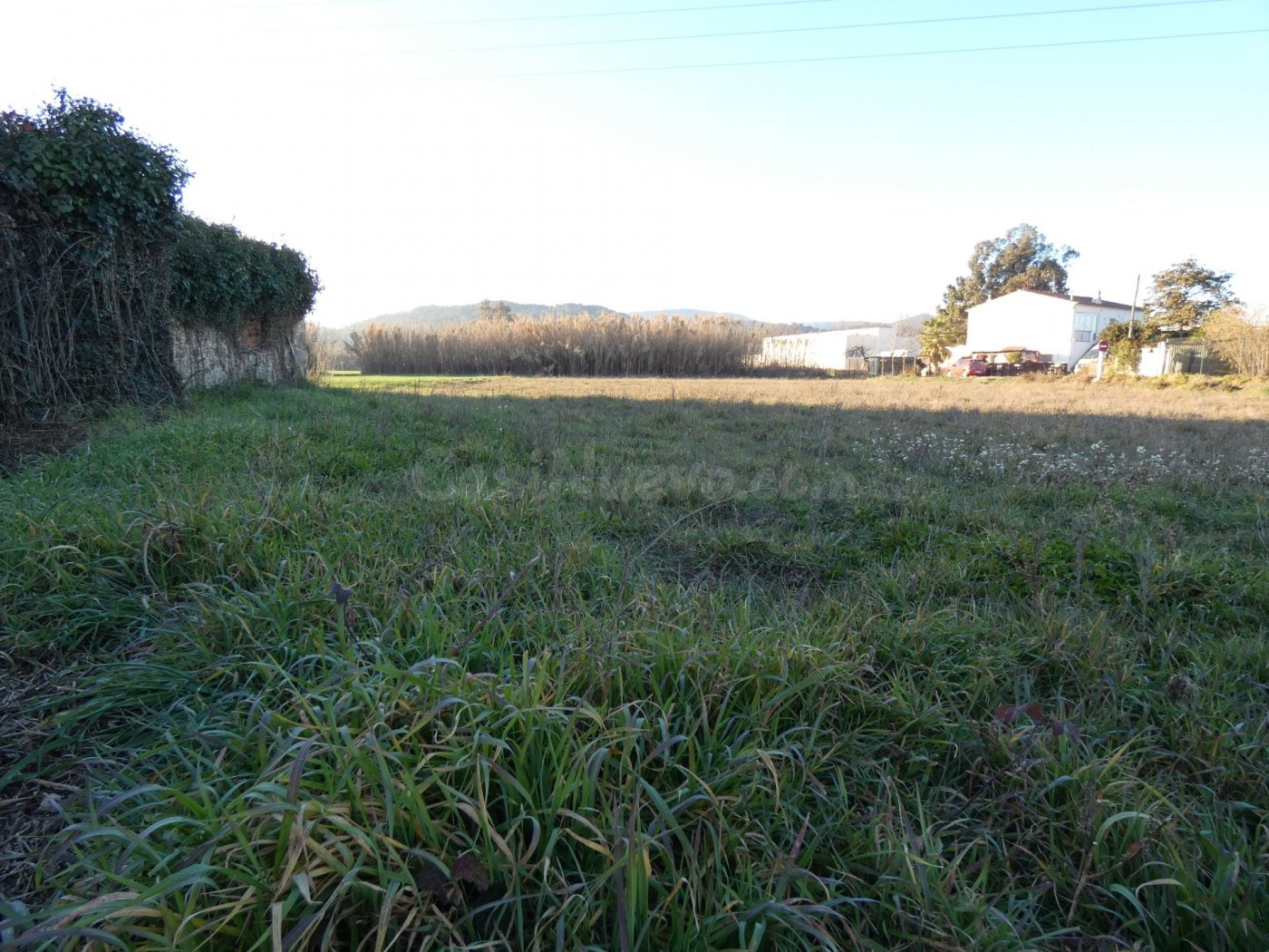 SANT JOAN DE PALAMÓS:  Se vende terreno rústico de 3.500 m2. - foto 2
