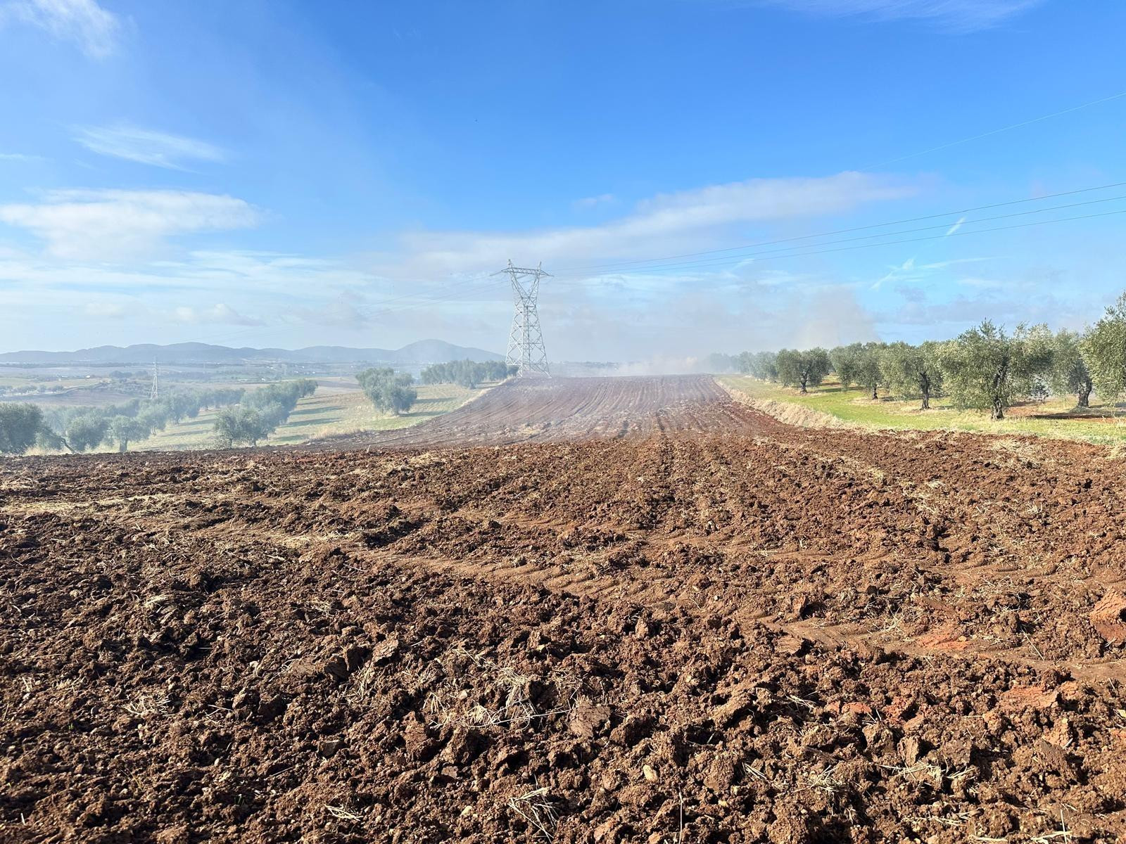 VENTA SUELO RUSTICO- ARABLE DE 51.400 M2, EN BODEGONES - SAL