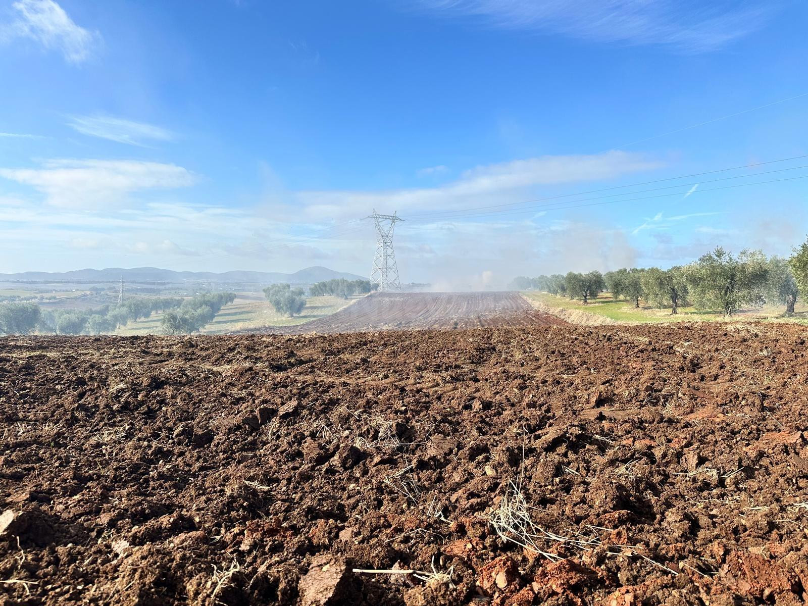 VENTA SUELO RUSTICO- ARABLE DE 51.400 M2, EN BODEGONES - SAL - foto 2