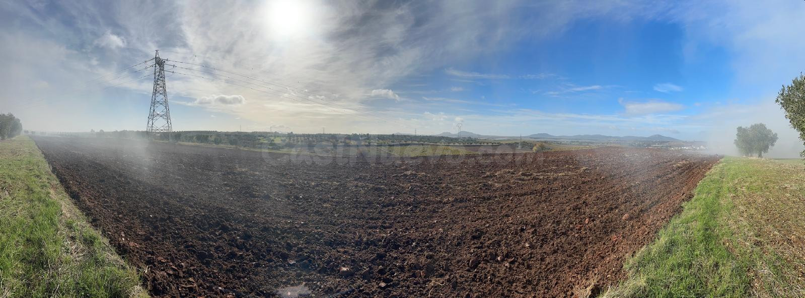 VENTA SUELO RUSTICO- ARABLE DE 51.400 M2, EN BODEGONES - SAL - foto 3