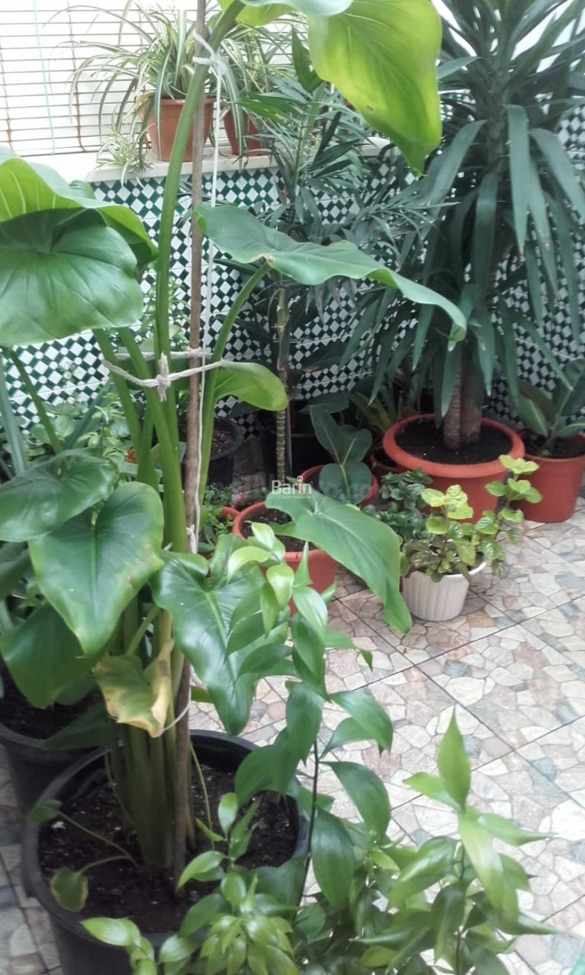 Casa de 3 plantas en la Victoria - foto 2