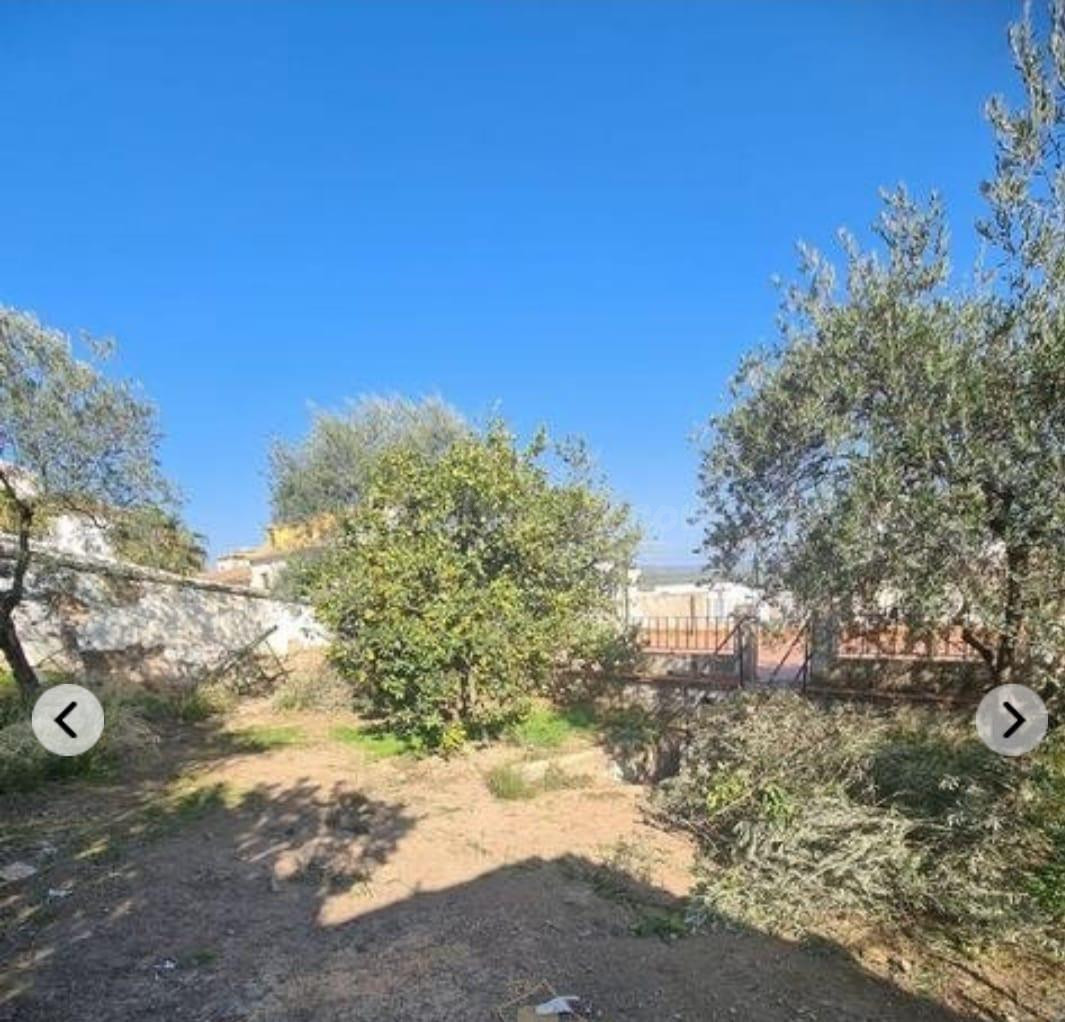 SE VENDE CASA SOLAR EN ALMODOVAR DEL RIO - 361m2 DE PARCELA - foto 2